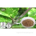 Cat's Claw Extract 3%~5% Alkaloids, 4: 1 5: 1, 20: 1